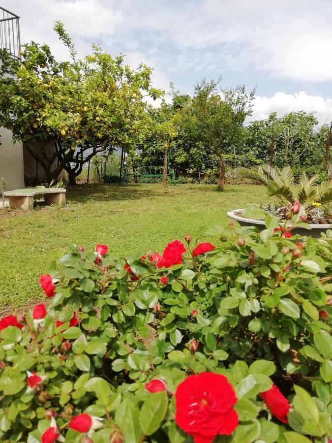 B&B Villa Le Mattine Агрополи Екстериор снимка